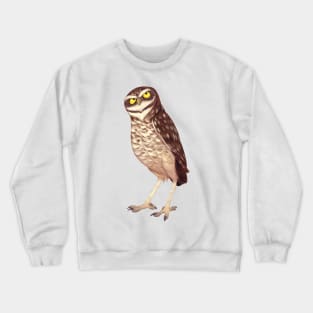 Burrowing owl Crewneck Sweatshirt